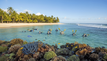 Snorkeling spots in Hawaii (best beaches)